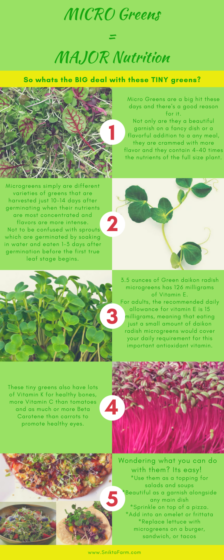 Micro-Greens info